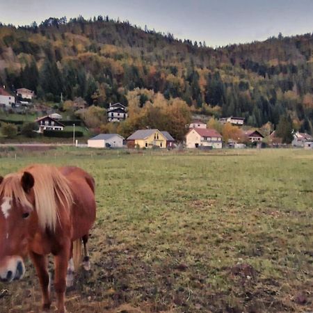 Willa Le Vivaldi, Au Coeur Du Massif Vosgien Avec Terrain De Petanque Rochesson Zewnętrze zdjęcie